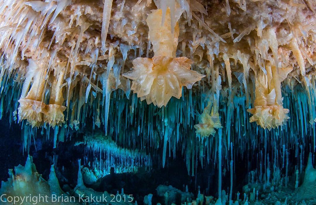 Brian Kakuk photography