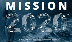 MISSION 2020 
