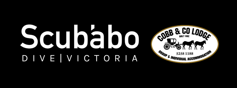 Scubabo